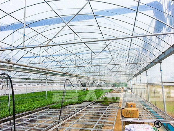 大棚建設(shè)需要注意什么